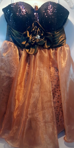 GORGEOUS Cotillion / Prom Dress - Picture 7 of 7